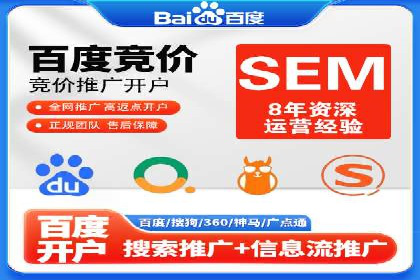 百度竞价广告投放全解析：成功案例揭秘